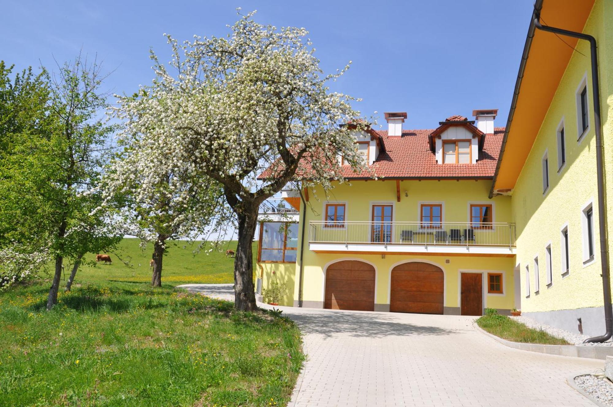 Ferienwohnung Mayrhofer Hofkirchen im Mühlkreis Екстериор снимка